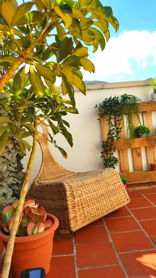 Atico En El Corazon De Santa Cruz/ Cozy Penthouse Apartment Екстериор снимка